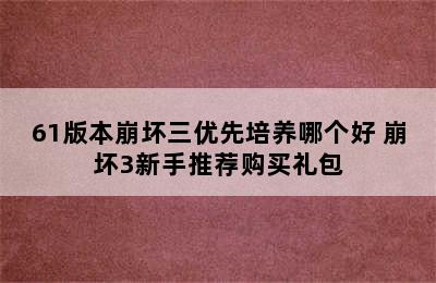 61版本崩坏三优先培养哪个好 崩坏3新手推荐购买礼包